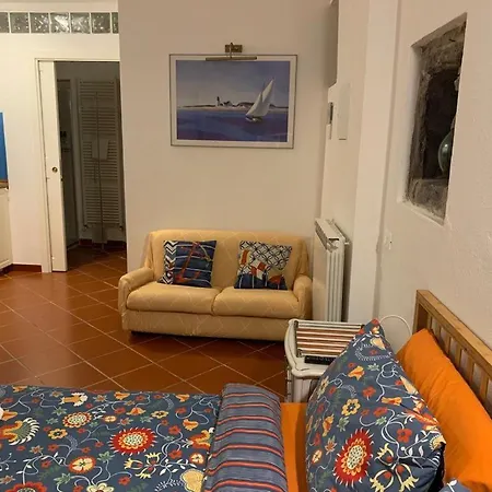 Apartman Casestate Seashell